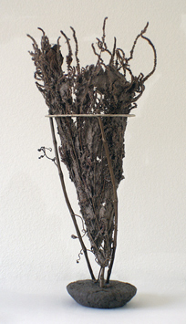 nest