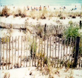 beachdunes