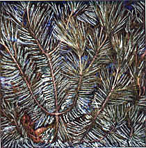 PINE NNEEDLES