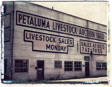 Livestock_auction.jpg