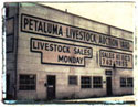 Livestock auction